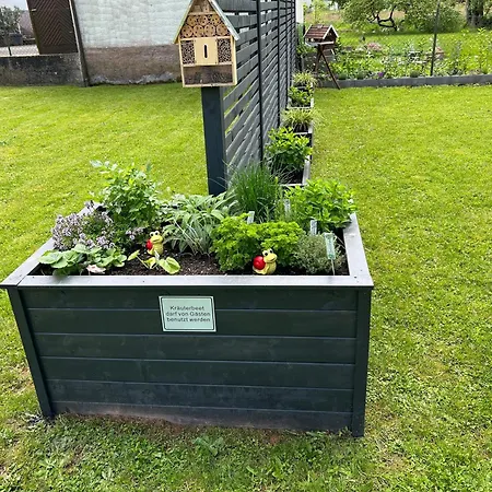 Schubert Owwe 公寓 Bobenthal